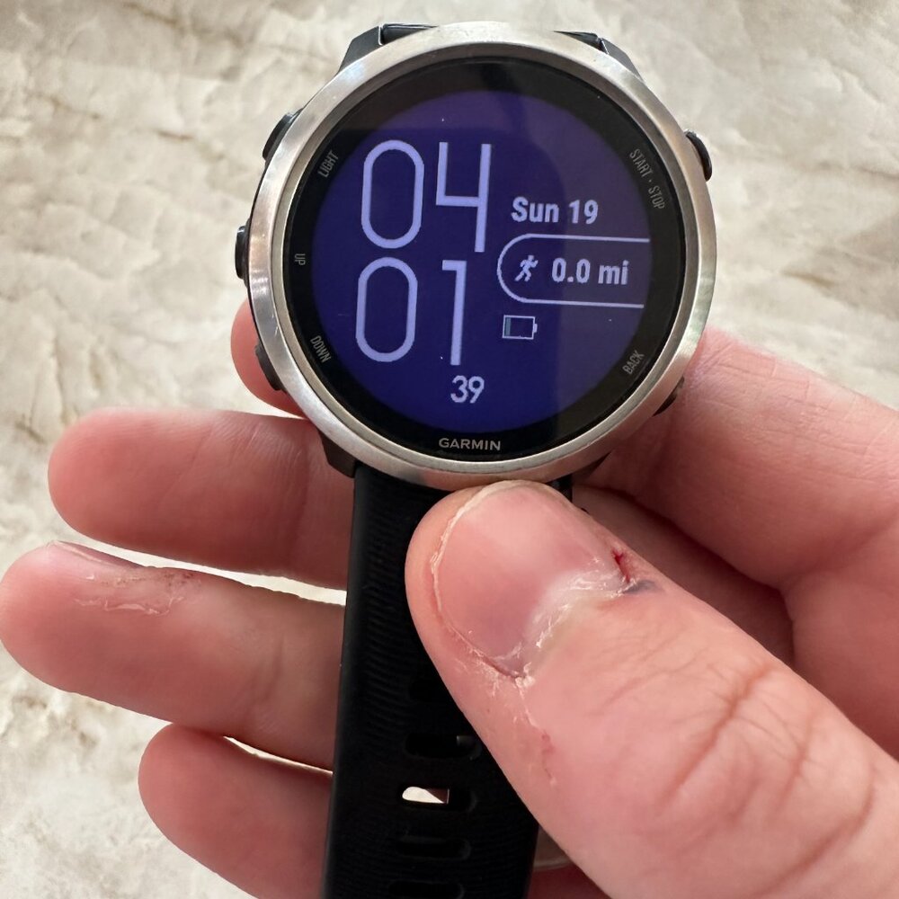 Garmin Forerunner 645 Music